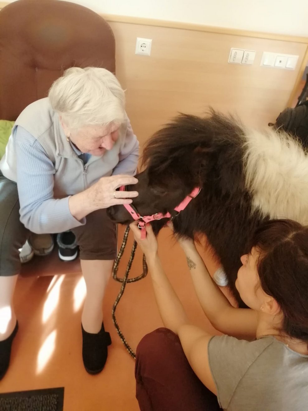 Frau Wernhart mit Pony