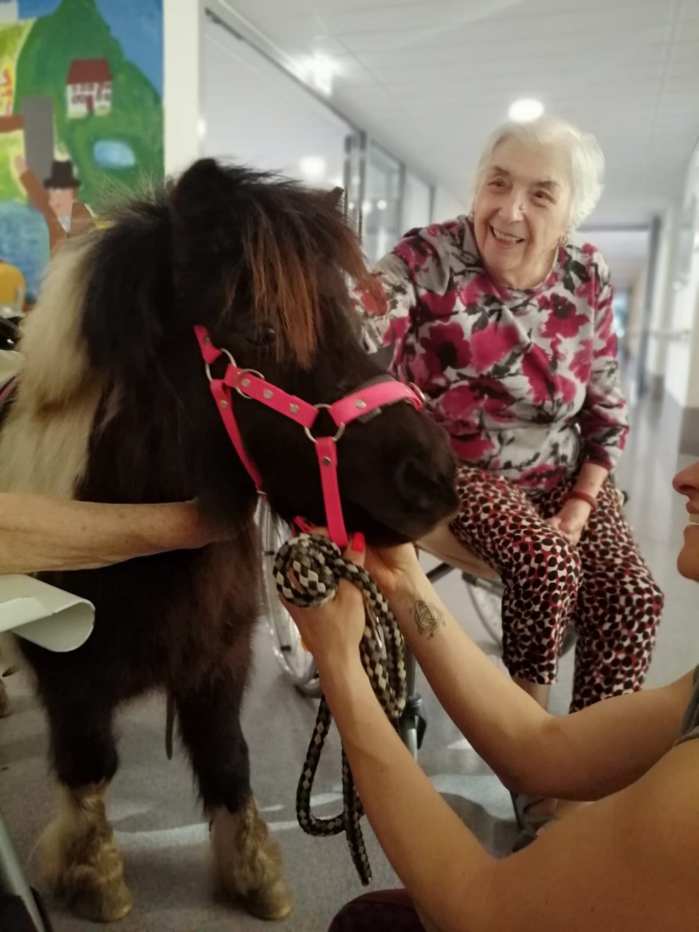 Frau Karall mit Pony