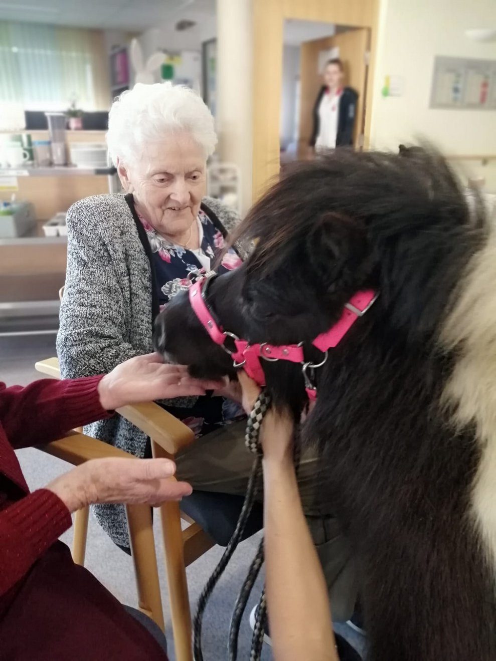 Frau Krumböck mit Pony