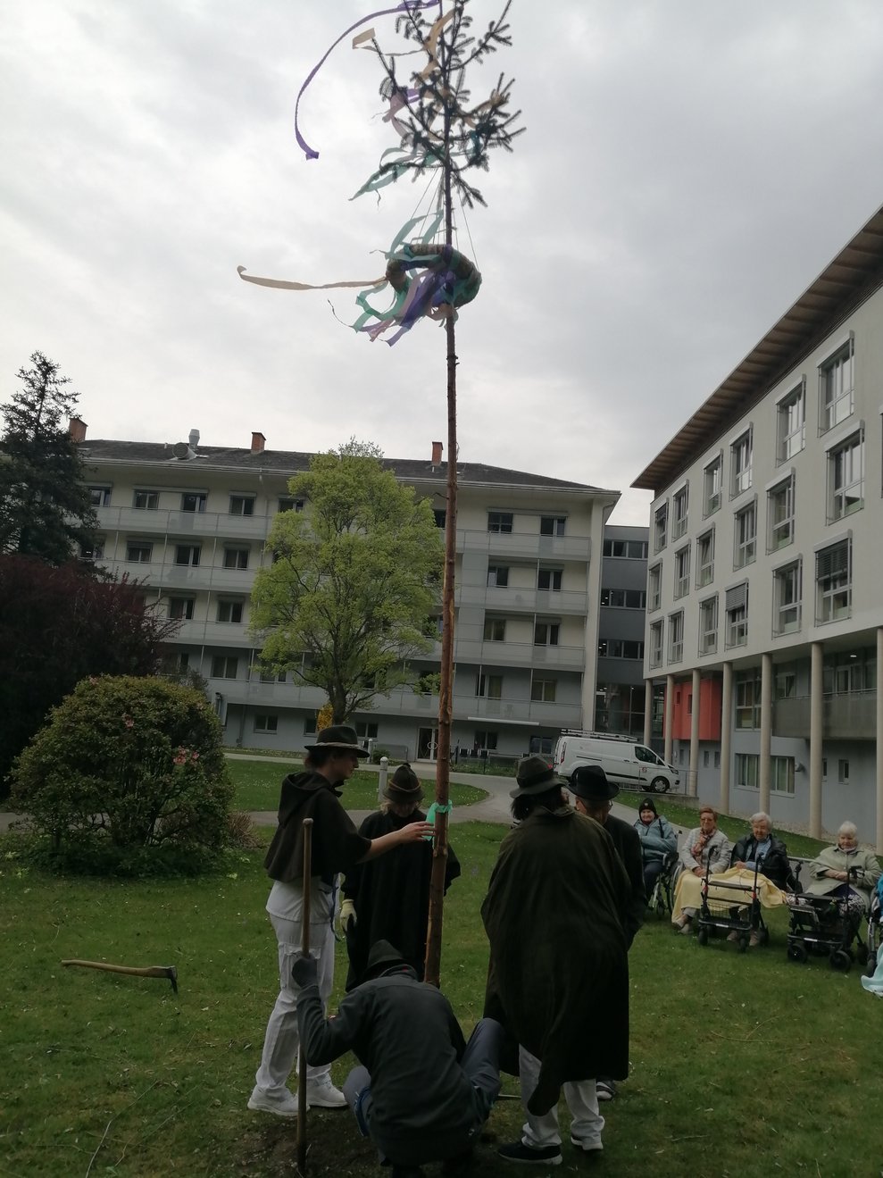 Maibaum wird aufgestellt