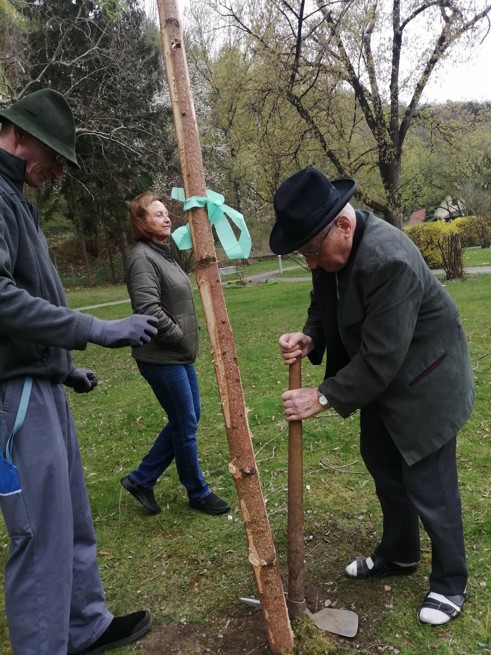 Herr Karl Melcher hilft beim Aufstellen des Maibaums